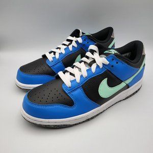 NEW Youth 7 / Women's 8.5 Nike Dunk Low Special Edition - DR0165-001
